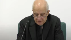Erzbischof Rino Fisichella / EWTN