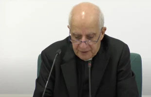 Erzbischof Rino Fisichella / EWTN