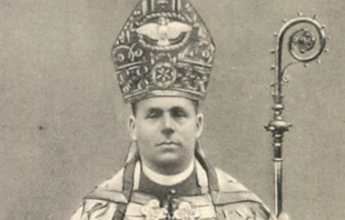 Bischof Johannes Baptista Sproll / gemeinfrei