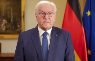 Frank-Walter Steinmeier / screenshot / YouTube / UNCCD