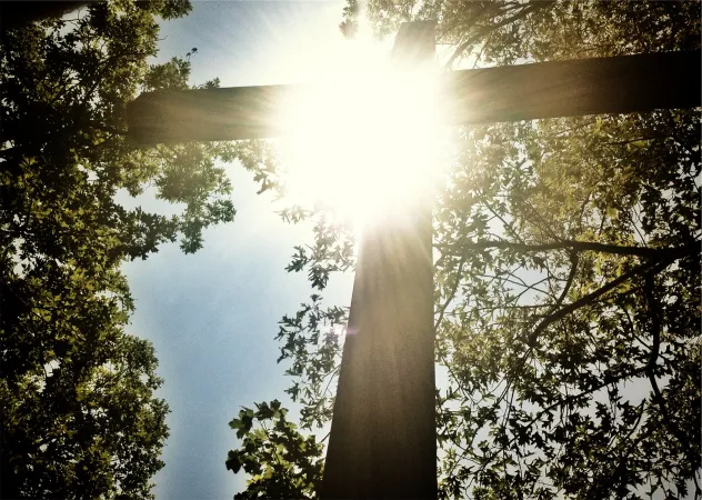 "Man kann sagen, dass alle Heiligen das Werk der allerseligsten Jungfrau sind und deren besondere Verehrung für sie das Kennzeichen, das sie alle gemeinsam haben" (hl. Maximilian Kolbe)