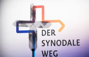 Synodaler Weg / Synodaler Weg / Maximilian von Lachner