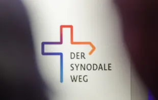 Synodaler Weg / Synodaler Weg / Maximilian von Lachner