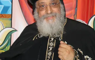 Bischof Tawadros II. ist seit 2012 als koptischer Patriarch von Alexandrien und Papst des Stuhls des heiligen Markus Oberhaupt der koptischen Kirche. / OSZE / Wikimedia (CC BY-SA 2.0) 