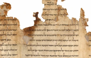 Tempelrolle 11QTa (11Q19) im Schrein des Buches (Israel-Museum, Jerusalem) / Gemeinfrei