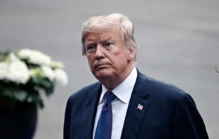 US-Präsident Donald Trump / Alexandros Michailidis / Shutterstock