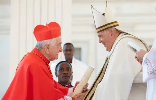 Kardinal Emil Paul Tscherrig mit Papst Franziskus / Vatican Media