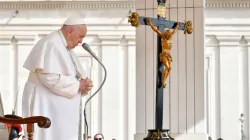 Papst Franziskus bei einer Generalaudienz / Vatican Media