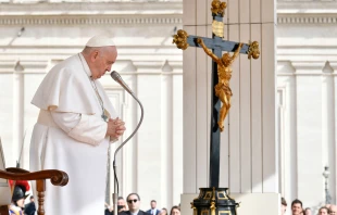 Papst Franziskus bei einer Generalaudienz / Vatican Media