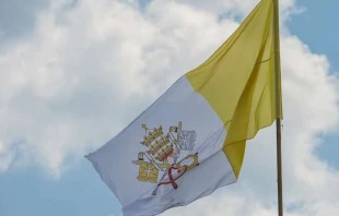 Flagge der Vatikanstadt / Andreas Düren / CNA Deutsch