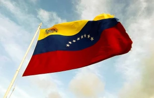 Flagge Venezuelas  / Anyul Rivas via Flickr (CC BY 2.0)