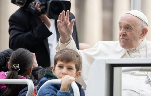 Papst Franziskus, 16. November 2022 / Daniel Ibáñez / CNA Deutsch