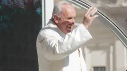 Papst Franziskus bei der Generalaudienz auf dem Petersplatz am 19. April 2017 / CNA/Lucia Ballester