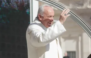 Papst Franziskus bei der Generalaudienz auf dem Petersplatz am 19. April 2017 / CNA/Lucia Ballester