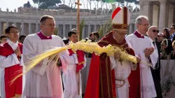 Palmsonntag auf dem Petersplatz mit Papst Franziskus / CNA Deutsch / Daniel Ibanez