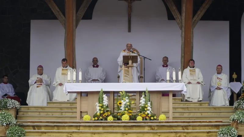 Papst Franziskus bei der Predigt am Marienheiligtum von Schomlenberg am 1. Juni 2019