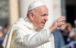 Papst Franziskus begrüßt Pilger auf dem Petersplatz am 5. Juni 2019 / Daniel Ibanez / CNA Deutsch