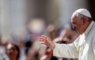 Papst Franziskus begrüßt Pilger bei der Generalaudienz am 12. Juni 2019 / Daniel Ibanez / CNA Deutsch