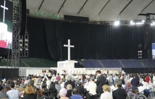 Heilige Messe in Tokio mit Papst Franziskus am 25. November 2019  / Hannah Brockhaus / CNA Deutsch