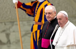 Papst Franziskus spricht bei der Generalaudienz am 29. Januar 2020 / Daniel Ibanez / CNA Deutsch 