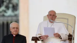 Papst Franziskus spricht bei der General Audienz auf dem Petersplatz am 18. September 2024. / Credit: Daniel Ibáñez/CNA Deutsch