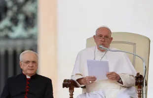 Papst Franziskus spricht bei der General Audienz auf dem Petersplatz am 18. September 2024. / Credit: Daniel Ibáñez/CNA Deutsch