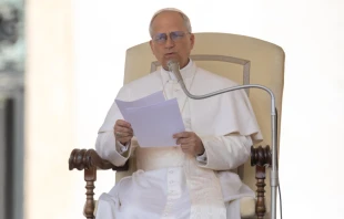 Papst Leo XIV. / Daniel Ibáñez / EWTN News