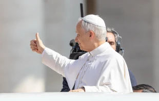 Papst Leo XIV. / Daniel Ibáñez / EWTN News
