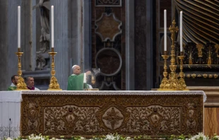 Papst Leo XIV. / Daniel Ibáñez / EWTN News