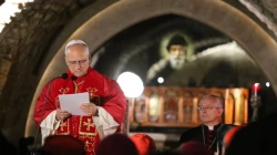 Papst Leo XIV. / Elias Turk / AIGAV Pool