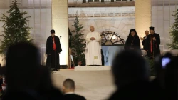 Papst Leo XIV. / Elias Turk / EWTN News