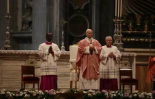 Papst Leo XIV. / Mirjana Gabrić / EWTN News