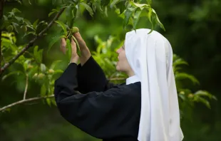 Passionistin im Klostergarten: Die Berufung zur Nonne prägt das ganze Leben / www.passionistnuns.org