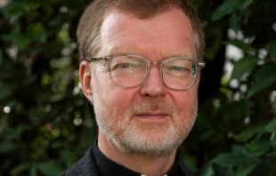 Pater Hans Zollner SJ / privat